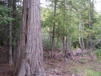 LAND 4