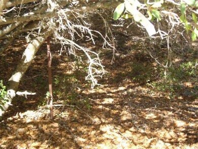 property stake at back side