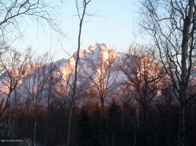 Pioneer Peak From Back Decks, 1st floor