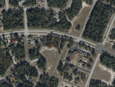 9255 N Citrus Springs Blvd, Citrus Springs, FL 34433 - photo 3