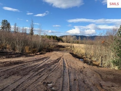 NNA (8550) Eastside Rd, Priest River, ID 83856 - photo 3
