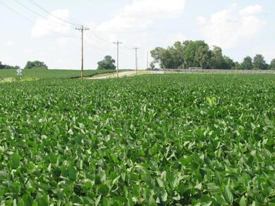 North Along County Line Rd