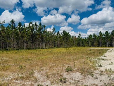 7670 207th Rd, Live Oak, FL 32060 - photo 2