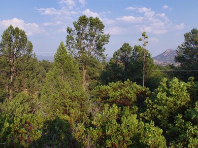 910 S Ridgeway St unit 35, Payson, AZ 85541 - photo 4