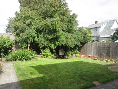 Back yard