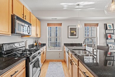 750 Mainstreet unit 202, Hopkins, MN 55343 - photo 7