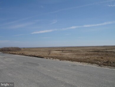 71 L E Harbor Blvd, Tuckerton, NJ 08087 - photo 4