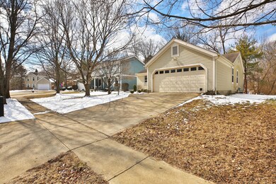 Concrete Driveway