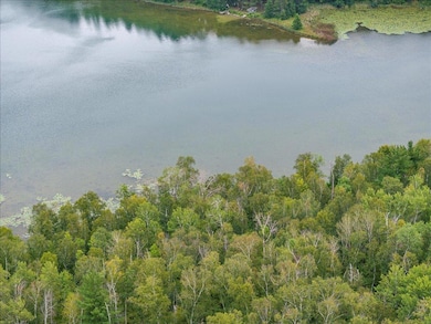 TBD 290th St, Two Inlets Township, MN 56470 - photo 3