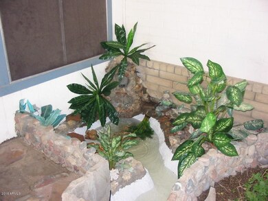 Nopal water feature