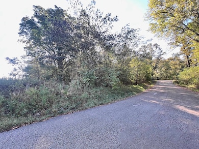 0 Cemetery Rd, Michie, TN 38357 - photo 4