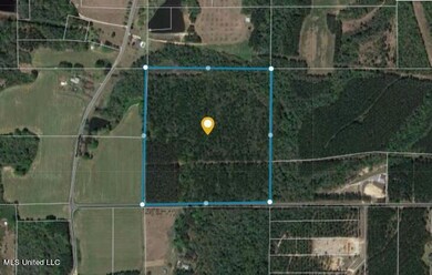 40 Ac Sally Parker Rd, Lucedale, MS 39452 - photo 7
