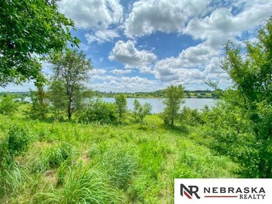 816 Summit Ridge Dr, Papillion, NE 68046 - photo 4