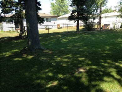 Yard.