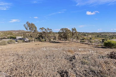 3572 Copper Crest Rd, Encinitas, CA 92024 - photo 6