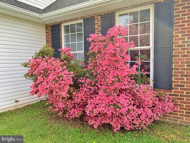 117 Stoney Creek Blvd, Edinburg, VA 22824 - photo 3