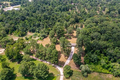 619 Virgie Community Rd, Magnolia, TX 77354 - photo 6