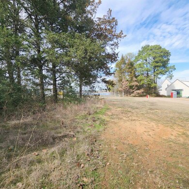 60 Brighton Pointe Ln, Heber Springs, AR 72543 - photo 7