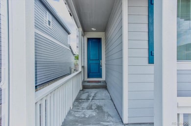 4505 Cholla Trail, Castle Rock, CO 80104 - photo 5