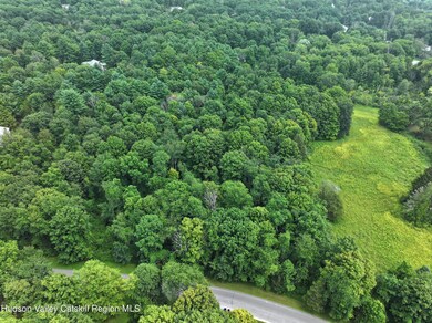 Tbd Deer Run Rd(off Spring Lake Rd, Red Hook, NY 12571 - photo 2