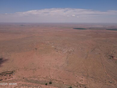 dji_fly_20250717_112020_835_175277644067