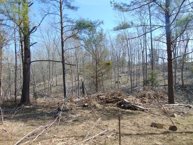 7.87 AC Paran Rd, Cookeville, TN 38506 - photo 5