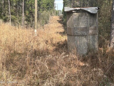 00 Jordan Hill Rd, Carson, MS 39427 - photo 6