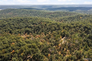 0 Bcr 300 unit MIS25064974, Marble Hill, MO 63764 - photo 3