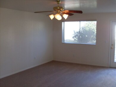 Large Family Room