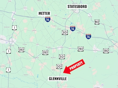 Birdford Lake Rd, Glennville, GA 30427 - photo 5