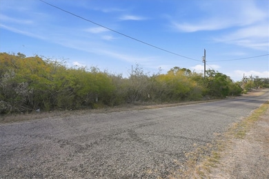 00 Huajilla Bend Rd, Sandia, TX 78383 - photo 6