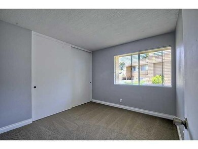 225 Countryhaven Rd, Encinitas, CA 92024 - photo 7