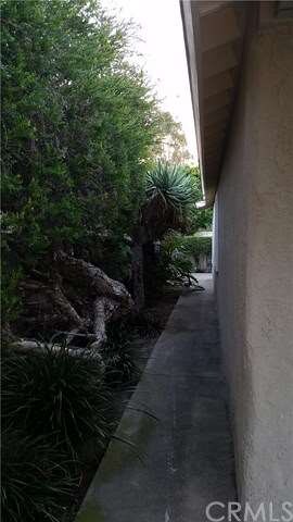 SIDE YARD 1