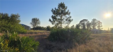 View of nature at dusk