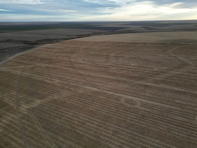 Tbd, Holly, CO 81047 - photo 3