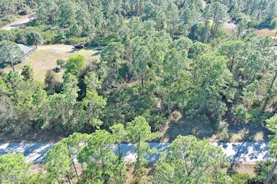 1405 W 14th St, Lehigh Acres, FL 33972 - photo 2