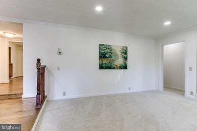 7404 Franklin Rd, Annandale, VA 22003 - photo 3