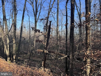 0 Buggy Ln unit VAMA2002548, Uno, VA 22738 - photo 2