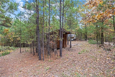 000 Co Rd 133, Plainview, AR 72857 - photo 7