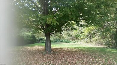 1044 Hillcrest Rd, Wellsville, OH 43968 - photo 3