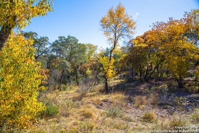 00 Scenic Loop Rd, San Antonio, TX 78255 - photo 6