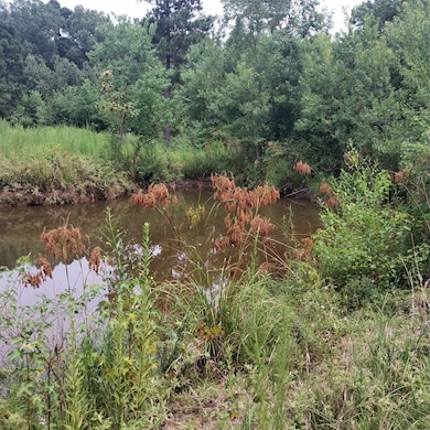 View of wooded area featuring a water view