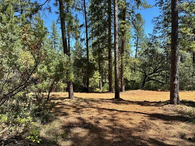 1815-Lot 397 E Summit View Dr, Meadow Vista, CA 95722 - photo 6