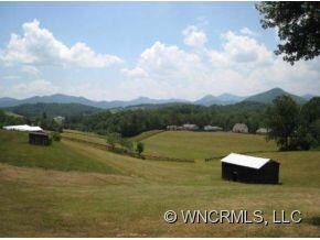 26 Gibbs Rd, Leicester, NC 28748 - photo 2