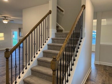 Representative picture