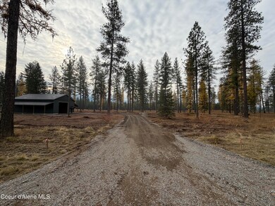 L2 B1 Wallace Ln, Blanchard, ID 83804 - photo 3