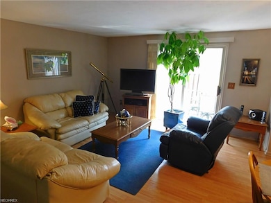 Light-filled living room