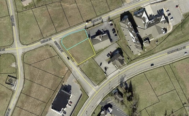 Screenshot 2025-11-11 at 1.31.28PM