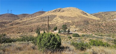 0 Soledad Pass Rd unit SR23191729, Acton, CA 93510 - photo 3