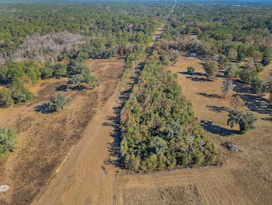 0 Hickory Woods Trail unit 393886, Tallahassee, FL 32312 - photo 2